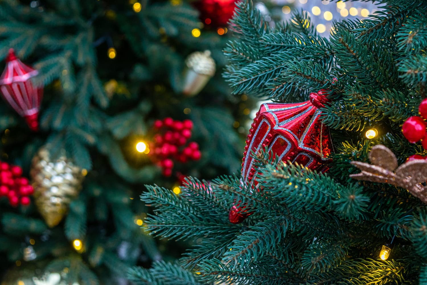 Congolais, préservez vos traditions de Noël avec sagesse